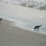 亚洲影音先锋男人资源 31qwj10qu