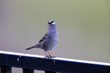 年轻的老师1观看 年轻的老师1观看