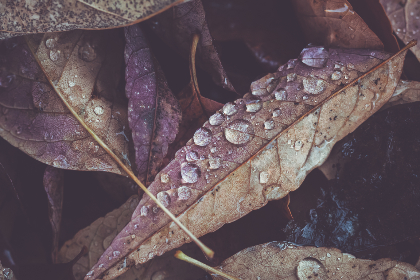 综合自拍亚洲综合图区Av 综合自拍亚洲综合图区Av