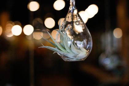 亚洲小说综合专区 亚洲小说综合专区