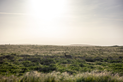 歪歪漫画在线阅读免费版 歪歪漫画在线阅读免费版