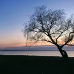 亚洲情五月综合基地 ldjy22i4