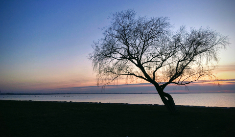 亚洲情五月综合基地 亚洲情五月综合基地