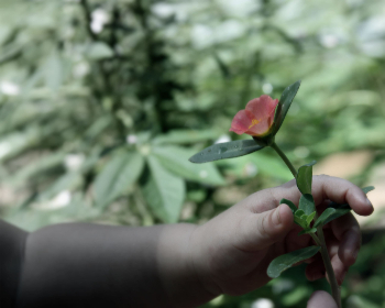 亚洲性色区图 亚洲性色区图