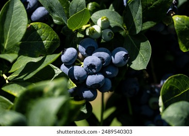 综合精品欧美日韩国产在线 综合精品欧美日韩国产在线