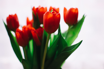 rki gas detector:高效安全的气体检测解决方案,保障您的工作环境 rki gas detector:高效安全的气体检测解决方案,保障您的工作环境