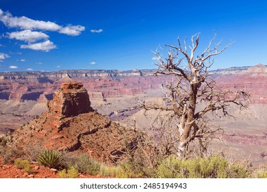 ytf5:探索YTF5在数字货币交易中的应用与前景分析 ytf5:探索YTF5在数字货币交易中的应用与前景分析