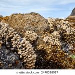 五十度飞在线观看未删减版:畅享激情与浪漫的极致体验 xq7f0v