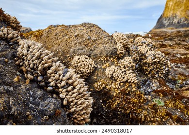 五十度飞在线观看未删减版:畅享激情与浪漫的极致体验 五十度飞在线观看未删减版:畅享激情与浪漫的极致体验